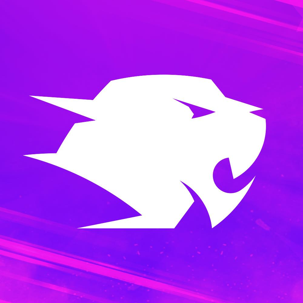 G4SKINS